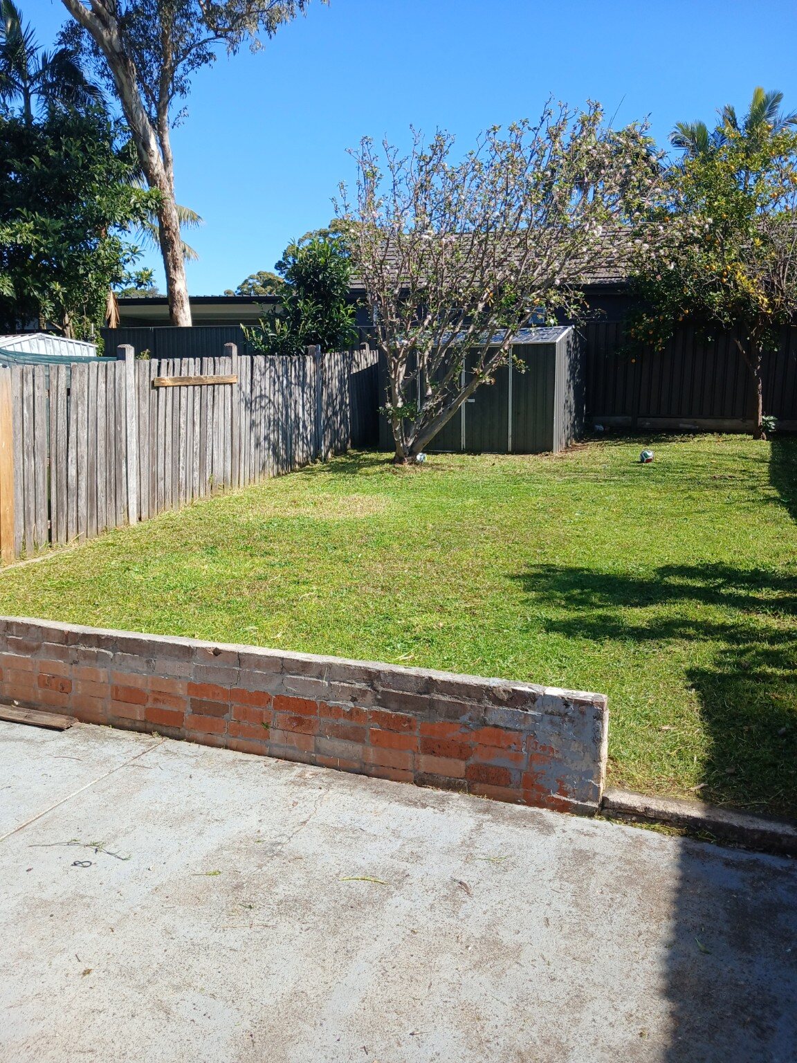 Neatly maintained backyard lawn behind a brick retaining wall, completed by Sydney Wide Lawns