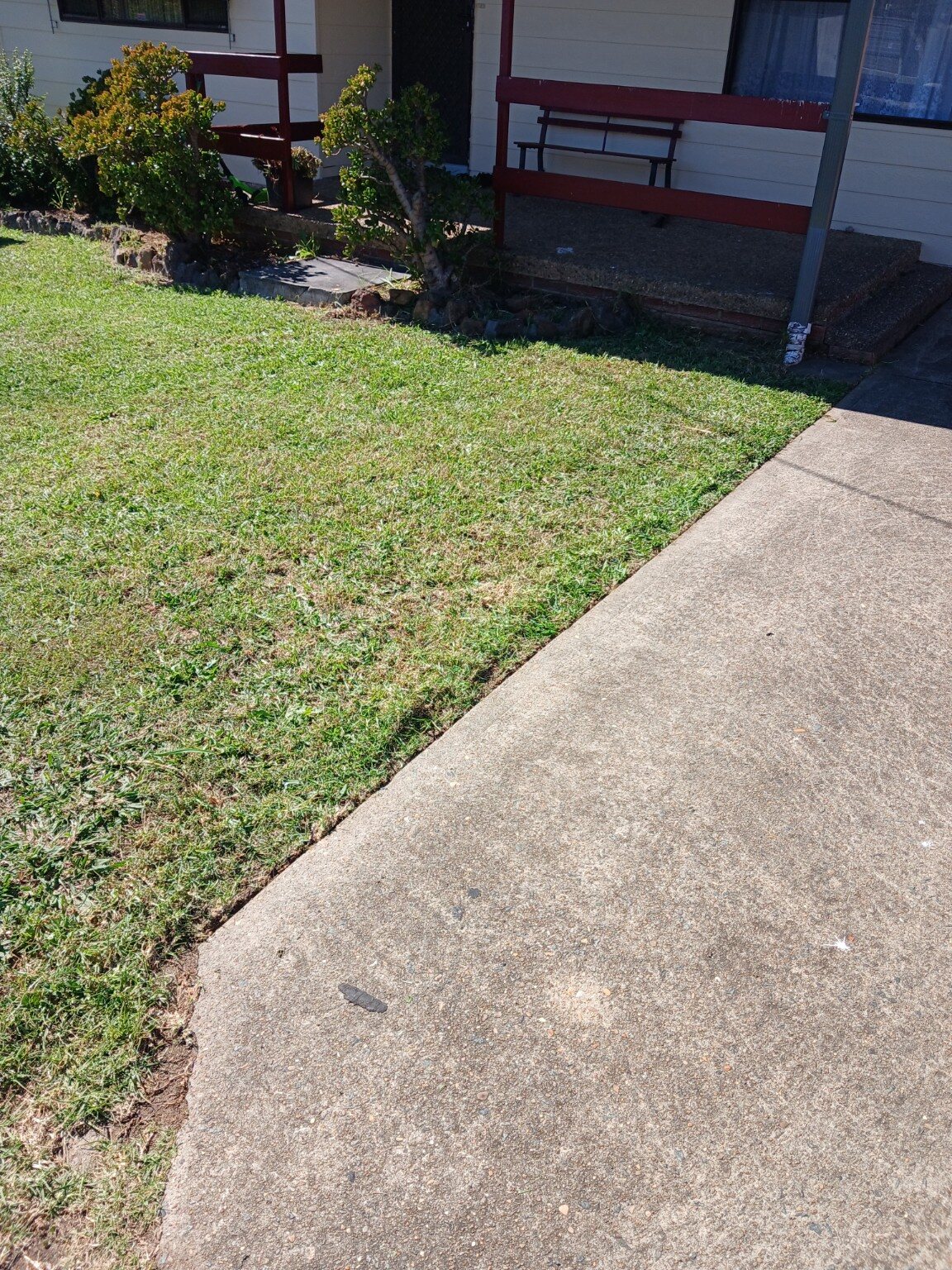 Clean, evenly mown front garden lawn completed by Sydney Wide Lawns