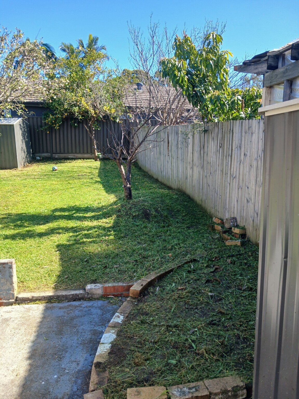 Trimmed side-yard lawn with clean edges along a timber fence