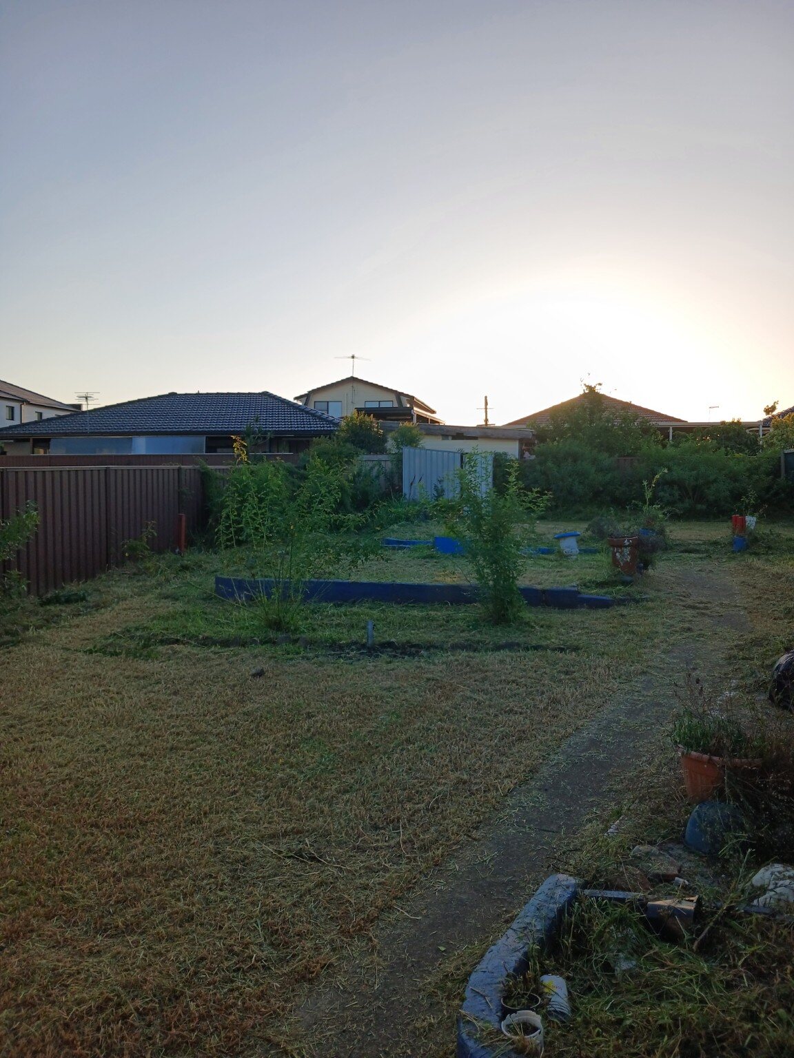 Large backyard mowed and cleaned up by Sydney Wide Lawns at sunset